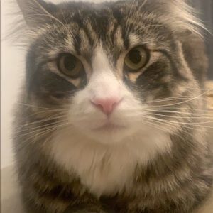 Meet your Posher, Becky